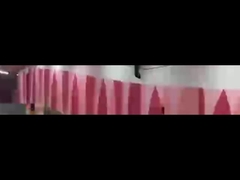 Σύστημα 4800bps/100m χώρων στάθμευσης οχημάτων LPR για την οδική ασφάλεια